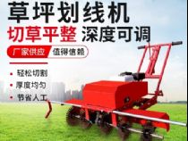 點(diǎn)擊查看詳細(xì)信息<br>標(biāo)題：草皮劃線(xiàn)機(jī) 閱讀次數(shù)：2741